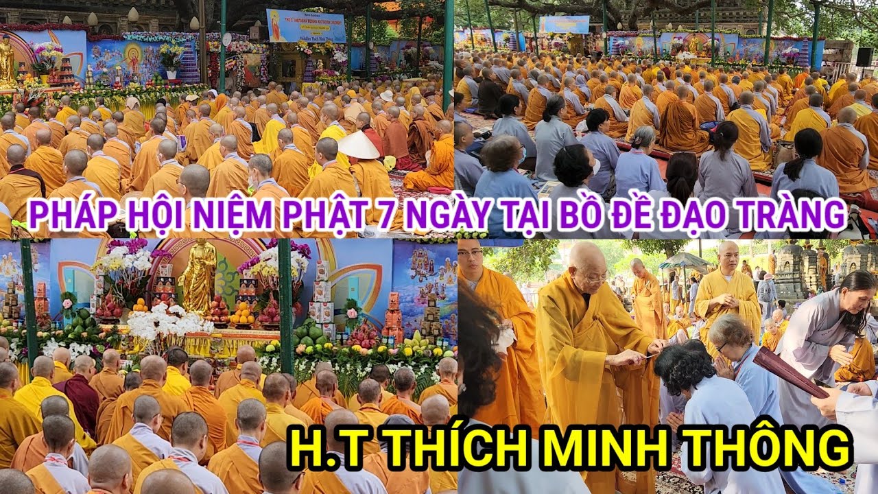 Pháp hội niệm Phật 7 ngày tại thánh địa Bồ đề  Đạo Tràng .HT Thích Minh Thông.