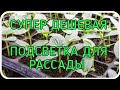 СУПЕР ДЕШЁВАЯ! ПРОСТАЯ И ПОЧТИ БЕСПЛАТНАЯ ПОДСВЕТКА ДЛЯ РАССАДЫ!!!