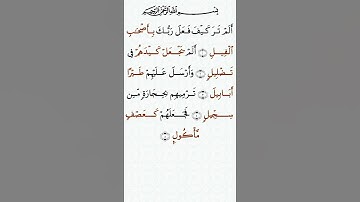 تلاوة خاشعة للشيخ سعد الغامدي سورة الفيل ۩ مكتوبة ۩ Sourate Al Fil  Saad Al Ghamidi