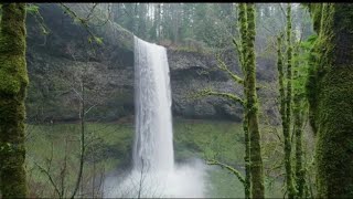 Free Waterfall 4k Videoclip | Nature Video #youtube #istagram