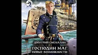 Дмитрий Смекалин – Господин маг. Новые возможности. [Аудиокнига]