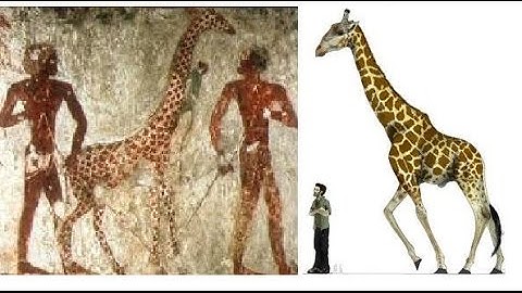 5 Mysterious Clues That May Prove Giants Did Exist