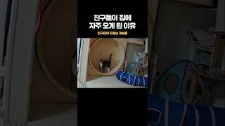 이래도 언니들 오는 게 싫어?