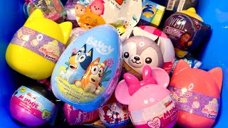 MYSTERY SURPRISE TOYS Snackles ASMR Unboxing Mystery eggs