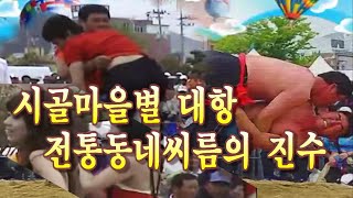 전국대항 씨름보다 더 박진감 넘치는 시골마을 전라도 사투리와 웃음을 유발하는 씨름대회 레젼드