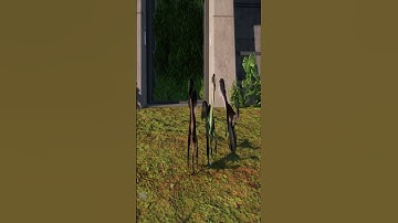 OVIRAPTOR WANTS MONEY #dinosaur #jurassicworldevolution2 #oviraptor #mods #money #cardib