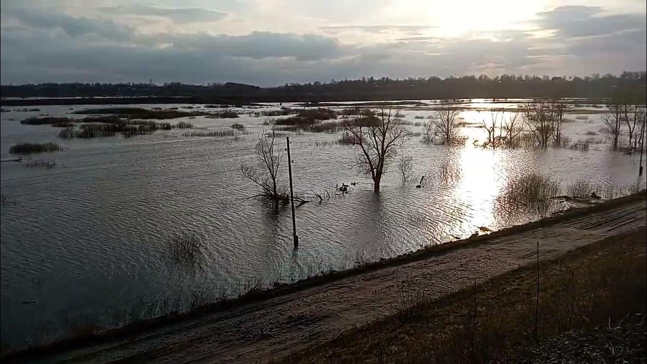 Уровень воды в жиздре козельск сегодня. Разлив в Козельске 2023. Половодье Козельск 2023 Жиздра. Разлив Оки 2023 Заокское. Разлив реки Жиздра в Козельске 2023 год.