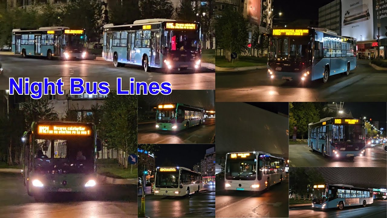 Buses at Night Lines