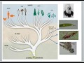 Origin of life: Top down strategy