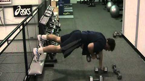 Heavy Renegade Row - Core - Wold Fitness