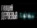 Страшная история- Гнуший деревья