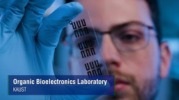 KAUST, Organic Bioelectronics Laboratory