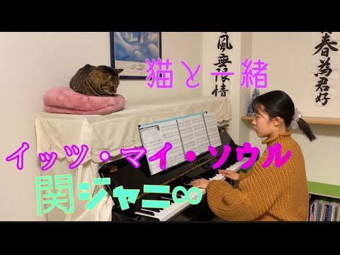 イッツ　マイ　ソウル　関ジャニ∞ ピアノ　　〜猫と一緒〜