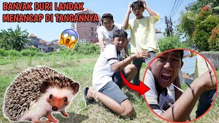 Gawat Tangan Saputra Tertusuk Duri L4Ndak Yang Galak?? Mikael Family