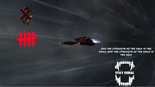 EVE Online PVP - Hunting Frat Ratters Round 2