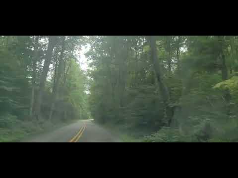 Kamal Muhamad Tanyam Maka 2023 کمال محمد تەنیام مەکە