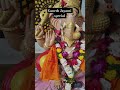 28/100 days vlogging ,Ganesh Jayanti Utsav,ganpati bappa morya #viralvideo #shortvideo #ganpati