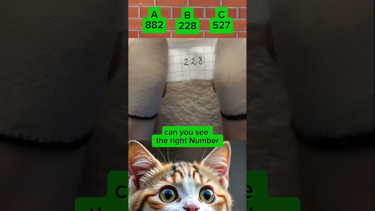 Can you See the right Number 😱4s 882,228,527 😎#shorts #cat #bombastic #youtubeshorts