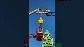 The tallest tree in the Park is back!🎄
Our LEGO Christmas Tree is officially up! See it shining bright at our Tree Lighting Ceremony Saturday, December 6! The tallest tree in the Park is back!🎄