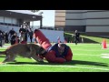 Hard Dog, Fast Dog Hard Dog, Fast Dog