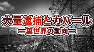【DAY22】大量逮捕とカバール・量子暗号通貨についてバカが調べてみたら少しだけ未来が垣間見えた