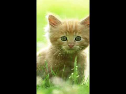 Самые страшные скримеры | #9 - YouTube