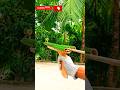 Bamboo slingshot बांस की गुलेल #bamboo #slingshot #diy #bambooart #youtubeshorts #viral #shorts