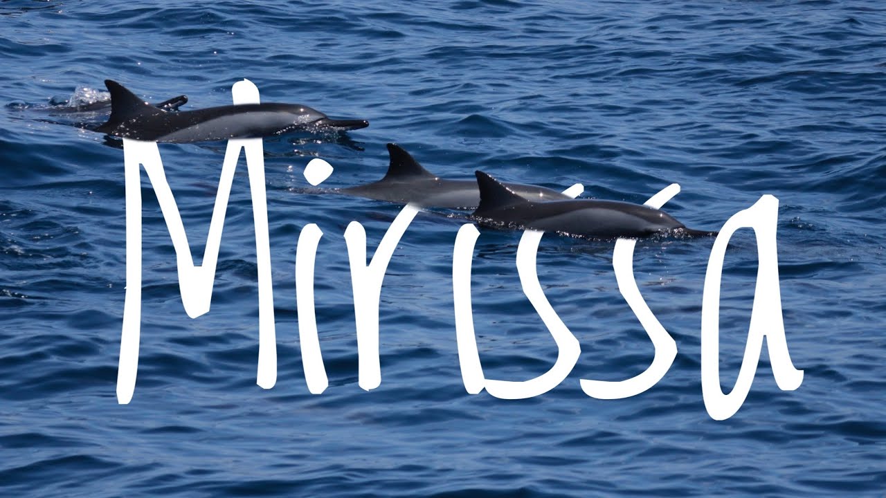 India to Srilanka - Mirissa