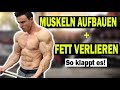 Muskeln aufbauen und gleichzeitig Fett verlieren!  Ernährung und Training