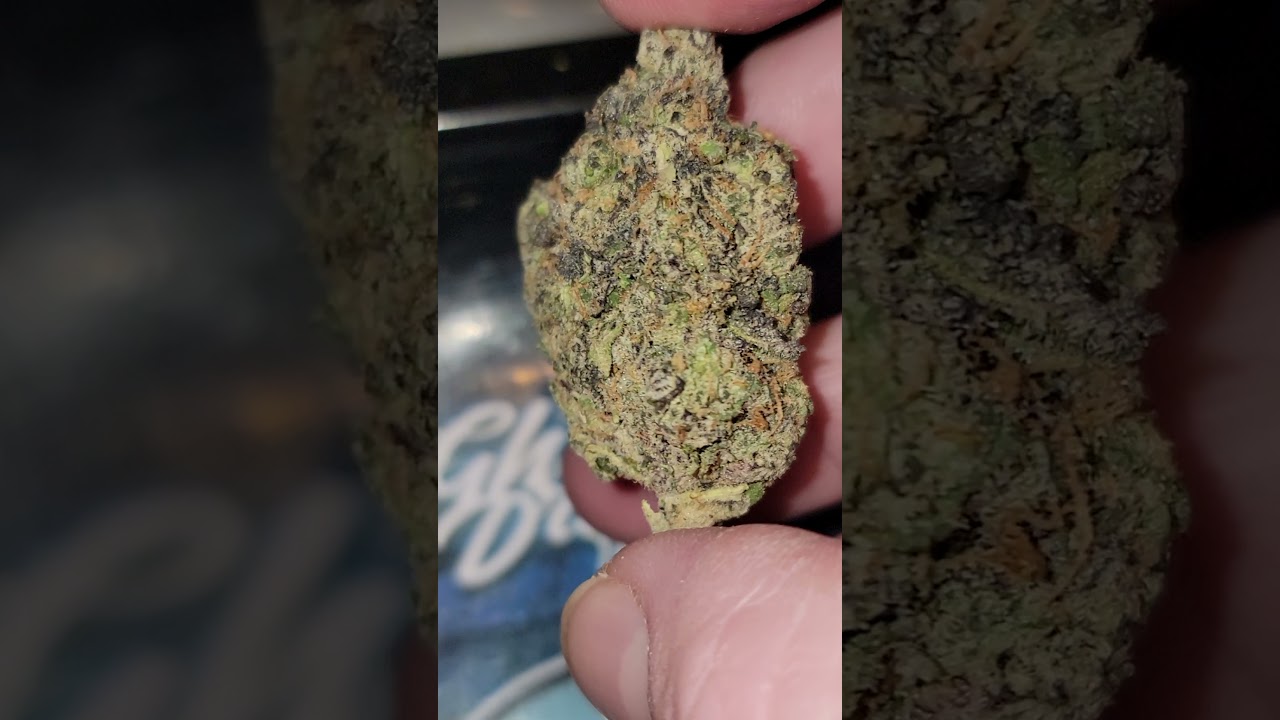 Chronor McGregor Cannabis Review - Runtz, Mandarin Cookies, Gelato33 & Donny Burger