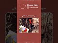 صوت نقار الخشب الحقيقي 