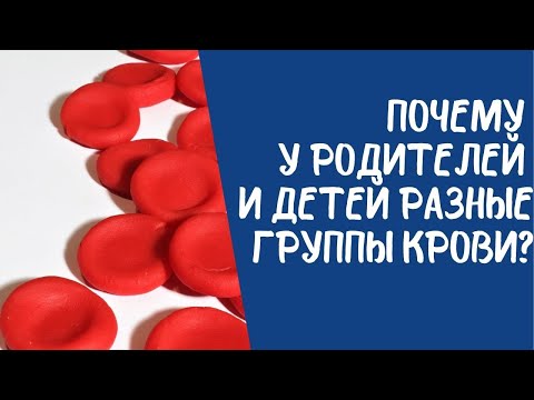 Почему у родителей и детей разные группы крови?