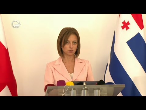 ეკატერინე ტიკარაძის ბრიფინგი