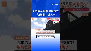 夏の甲子園「2部制」導入へ　暑さ対策で午前と夕方に分け試合行う｜TBS NEWS DIG #shorts