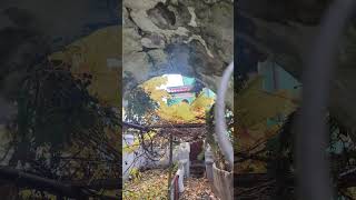каЛининградский виноград и экскурсии.. кстати музыка была бы прекрасная если бы в ней не был голоса