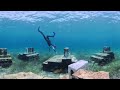 Artificial Reefs of Abaco