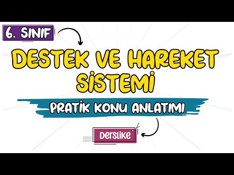 Destek ve Hareket Sistemi | 6. Sınıf Fen Bilimleri | 2023