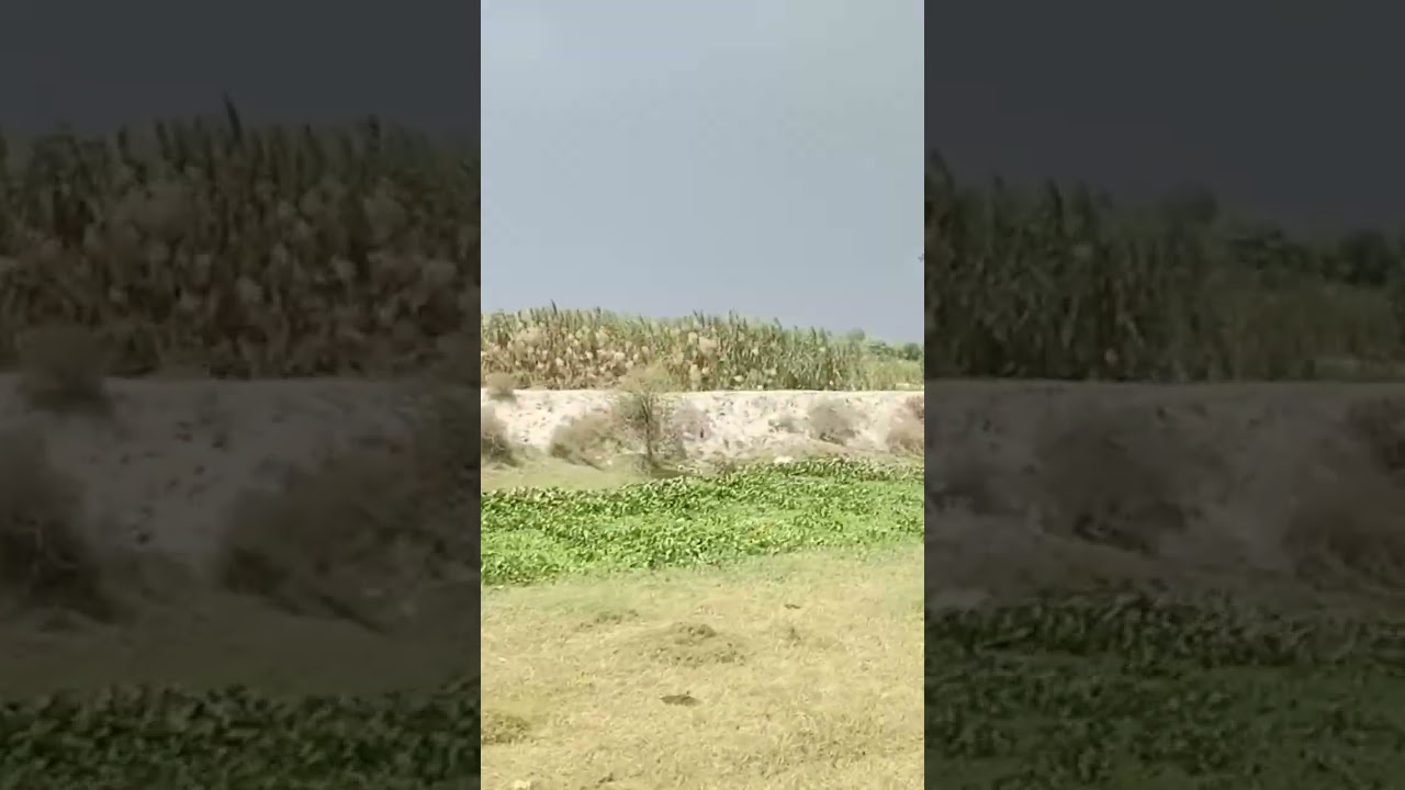 Gojra city || Gojra city in tour || Part 2|| Nouman vlog 777