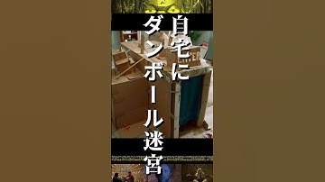 【 映画紹介 】絶対に 夏に 観たい グロくない グロ ホラー映画 紹介『 キラーメイズ 』予告風 紹介【 ﾎﾗｰ映画紹介Vtuber 】#shorts