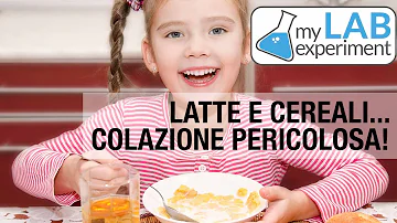 Come si mangiano i cereali a colazione?
