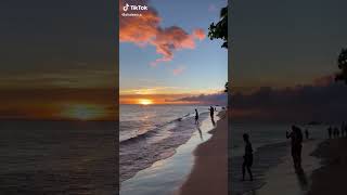 Best Travel Vlog 2022