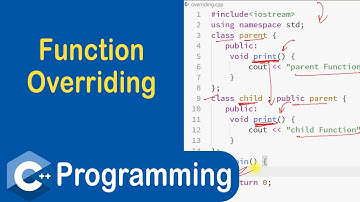 #101 Function Overriding in C++ | Runtime Polymorphism