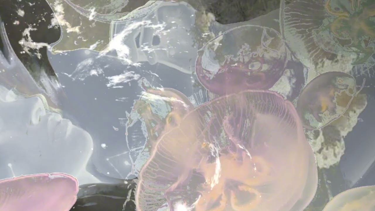 𝐩𝐥𝐚𝐲𝐥𝐢𝐬𝐭 내게만 펼쳐낸 신기루