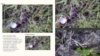 Ardrone for visual mine detection
