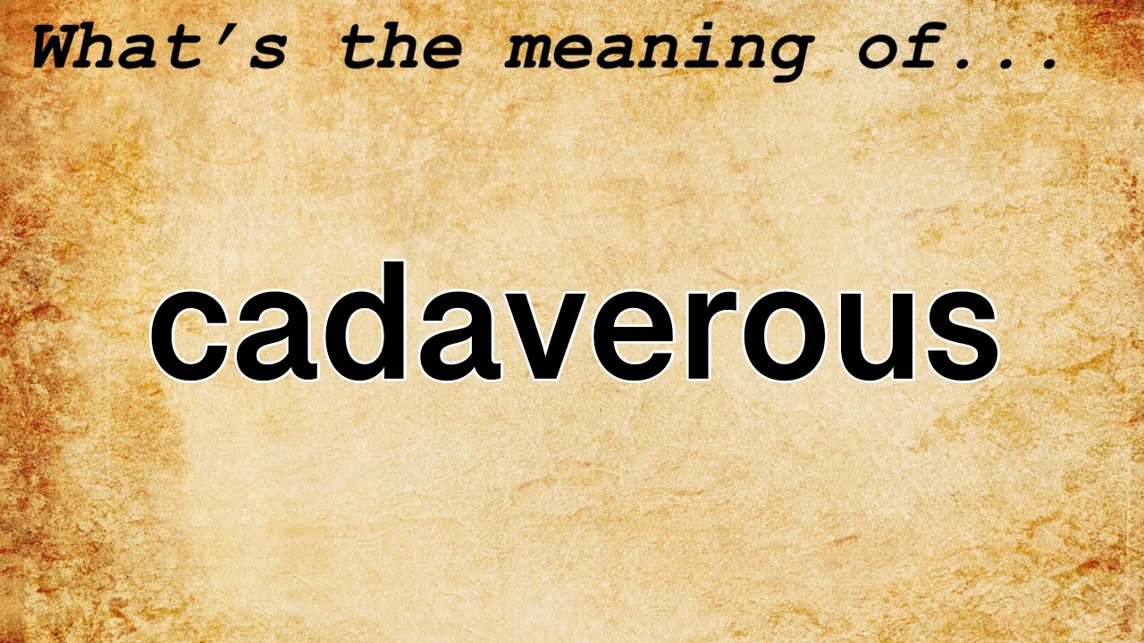 Cadaverous Meaning Definition of Cadaverous YouTube