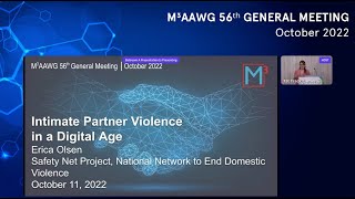 Intimate Partner Violence in a Digital Age with Erica Olsen, Safety Net Project Director