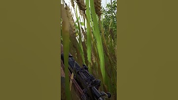 Free Look is UNDERRATED - Post Scriptum Highlight