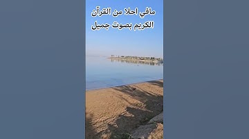 سوره الزمر 🌹بصوت الشيخ ماهر المعيقلي #ا #ر #تصويري  🌹اللهم اجعل القرآن ربيع قلوبنا ونور صدورنا