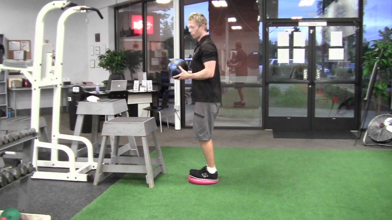 exercise 14.1 class 11 Disc Squat
