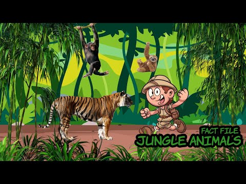 Video: Ce simbolizează jungla?